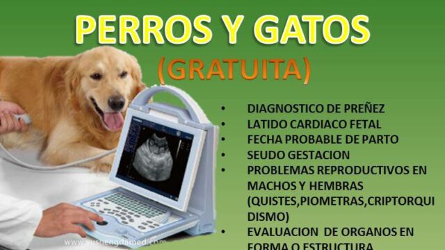 465377605_27768961086051084_5528918426031757934_n