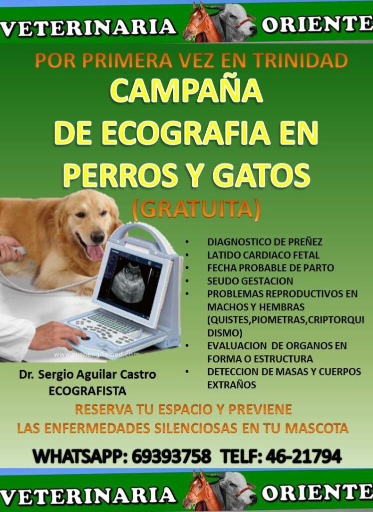 465377605_27768961086051084_5528918426031757934_n