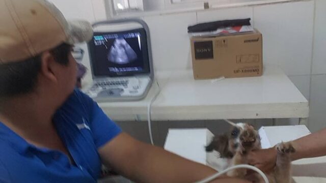 465590717_27768989672714892_151553253954039089_n