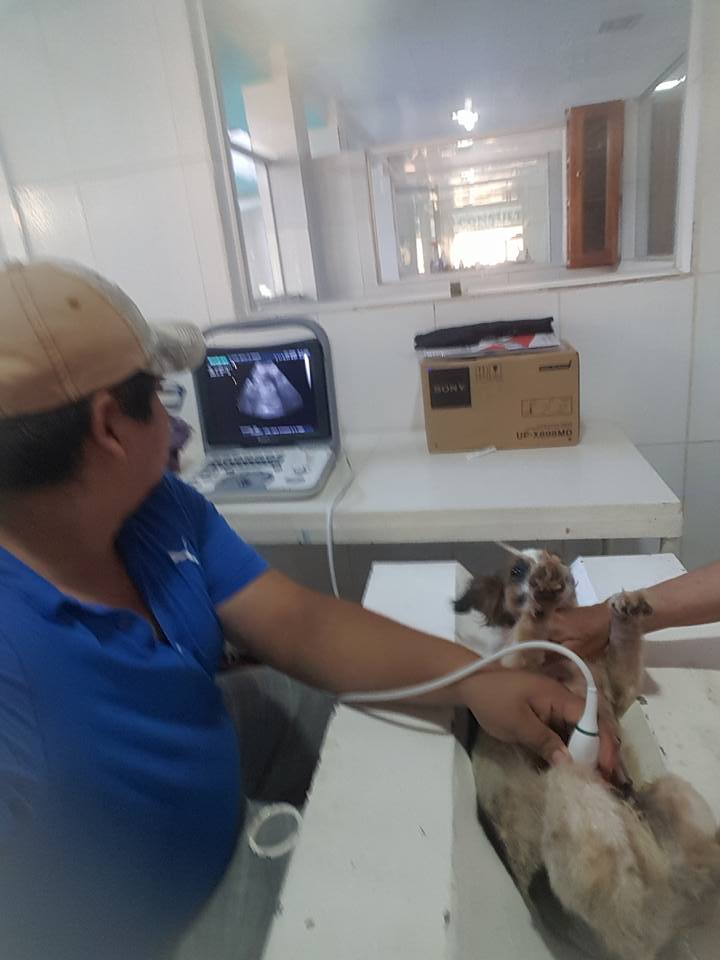 465590717_27768989672714892_151553253954039089_n