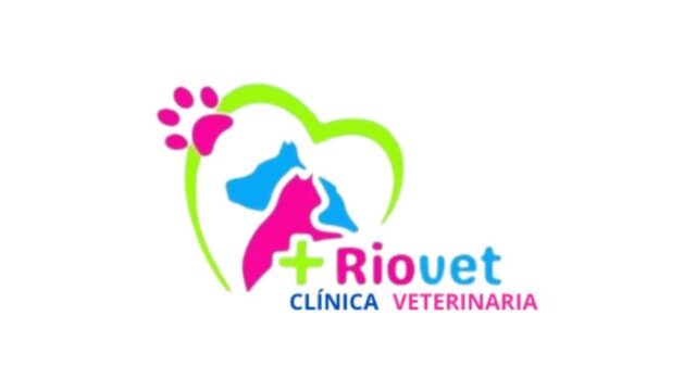 465783593_534544246003196_1240105818486885197_n