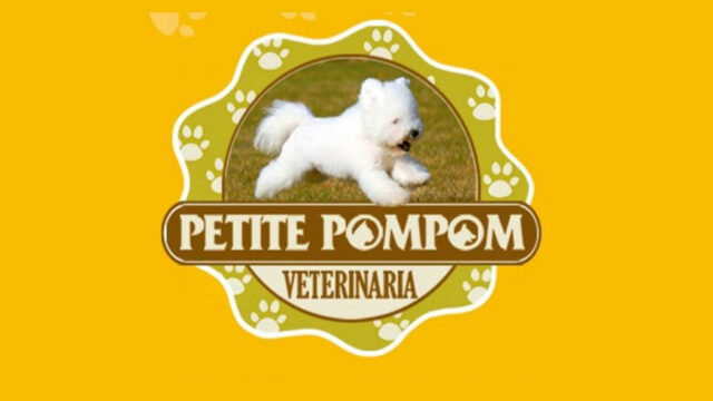 468359695_10233914502300448_6710914454606551037_n