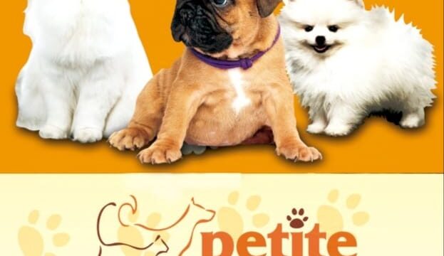 468442327_122100435290644714_2051655410387700442_n