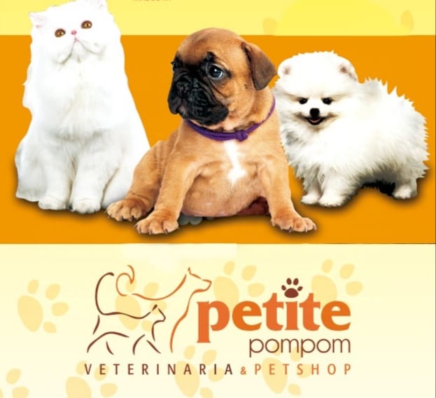 468442327_122100435290644714_2051655410387700442_n