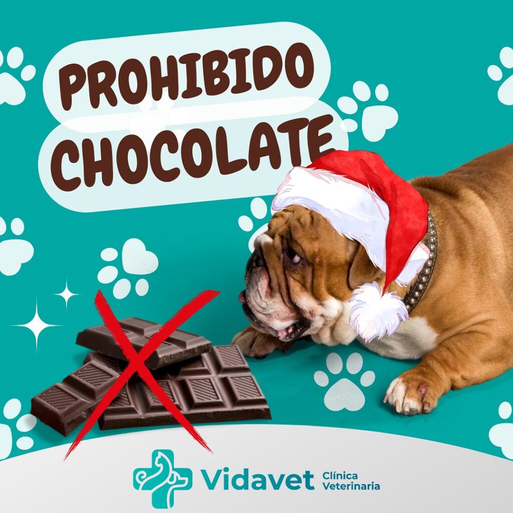 468813750_17959611173839330_1741340529858818233_n