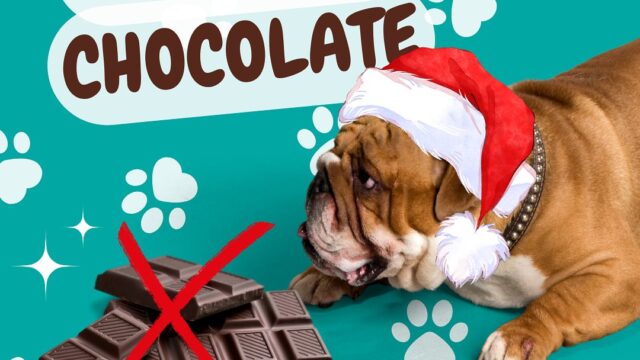 468813750_17959611173839330_1741340529858818233_n