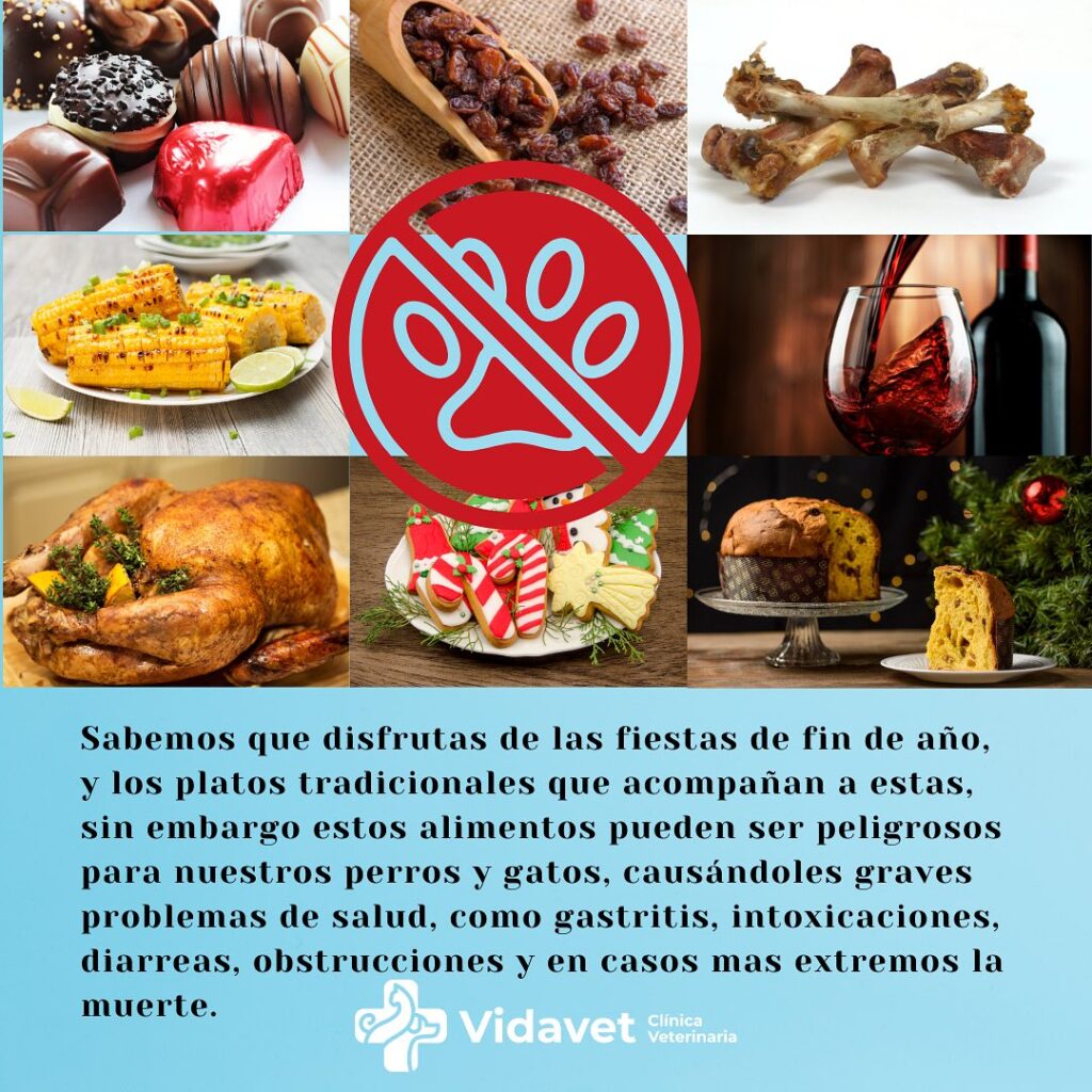 468834817_17959611011839330_6419529561769273545_n