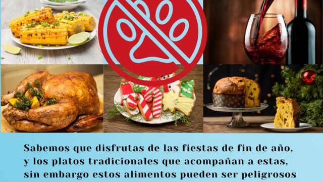 468834817_17959611011839330_6419529561769273545_n