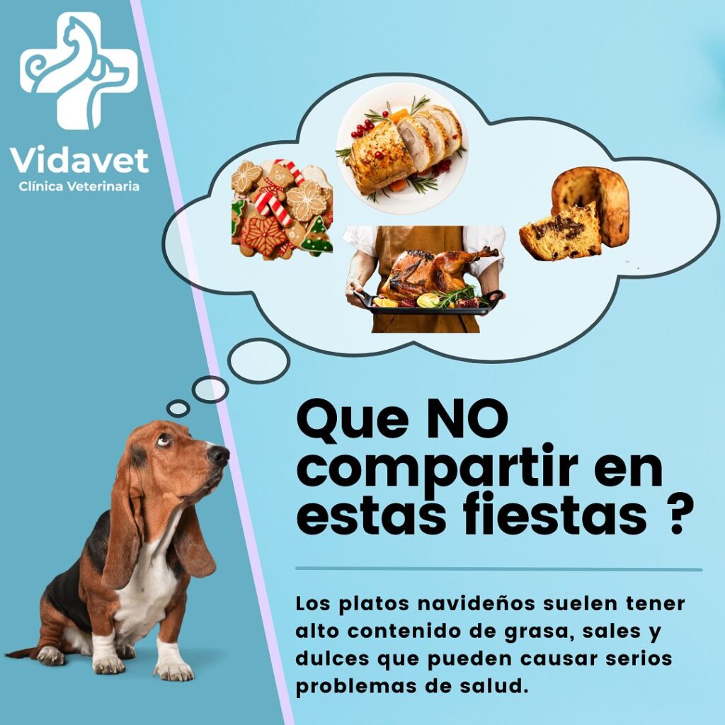 468915864_17959611269839330_6354966711853632862_n