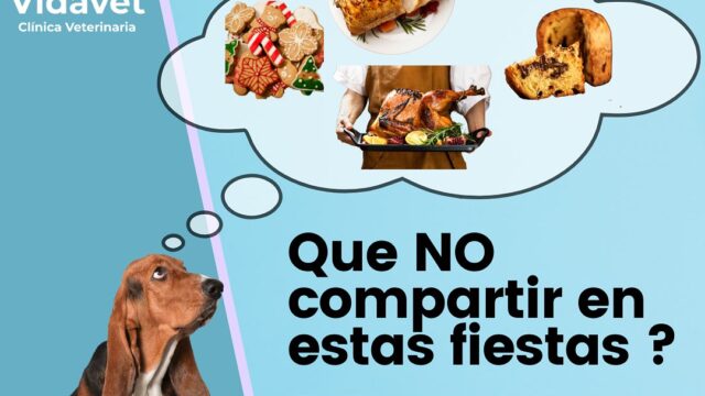 468915864_17959611269839330_6354966711853632862_n