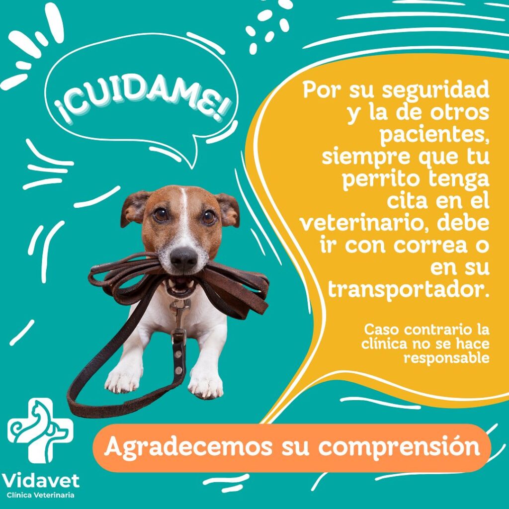 468942721_17959611008839330_7638251021915483699_n