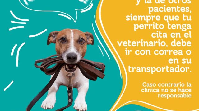 468942721_17959611008839330_7638251021915483699_n