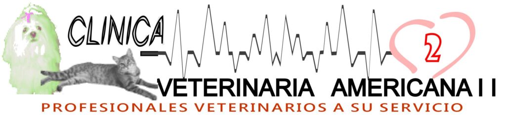 468980702_598729399492102_4158110356675958061_n