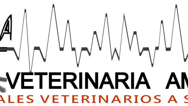 468980702_598729399492102_4158110356675958061_n