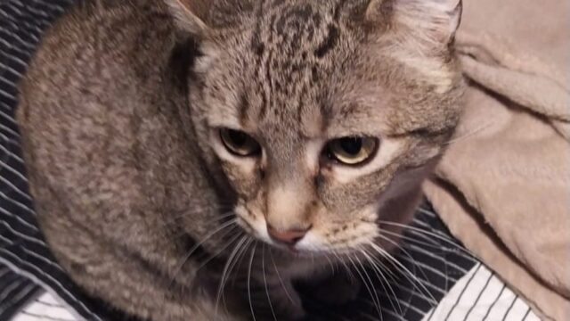 469113918_600796382618737_739647289150263020_n