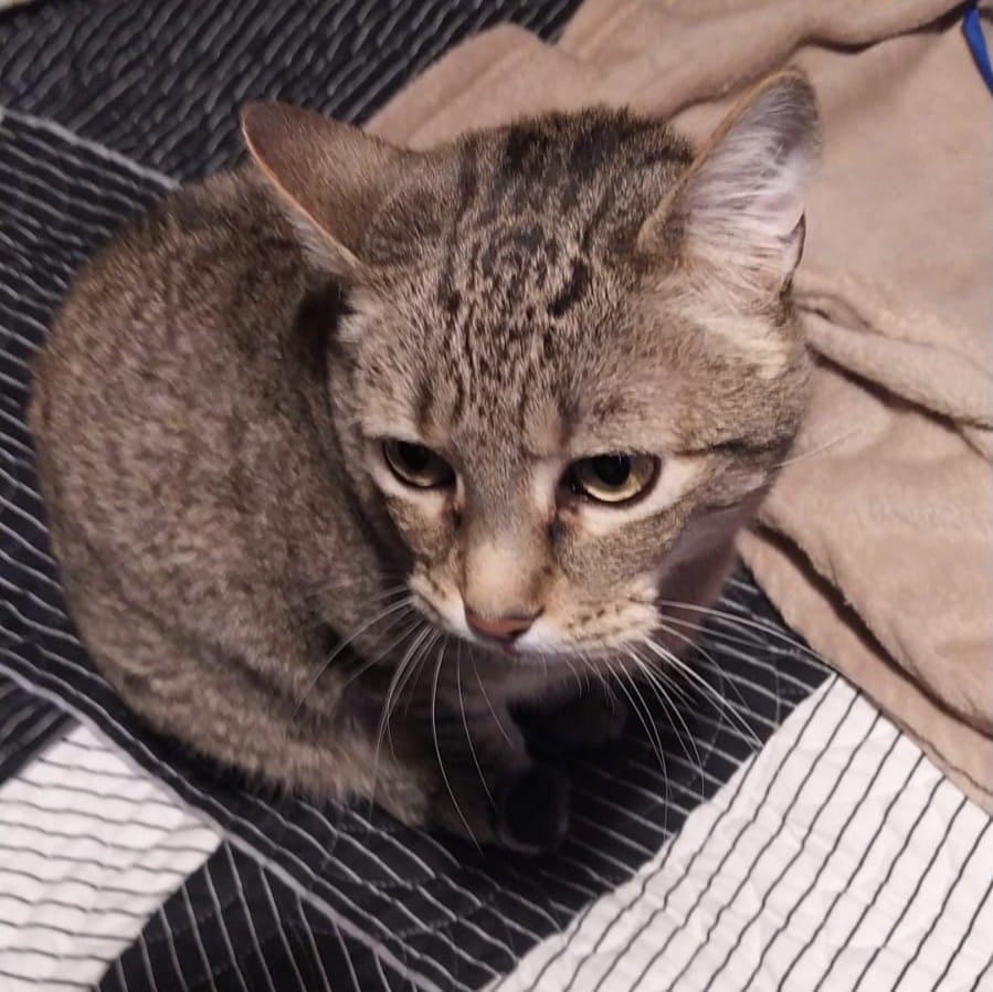 469113918_600796382618737_739647289150263020_n