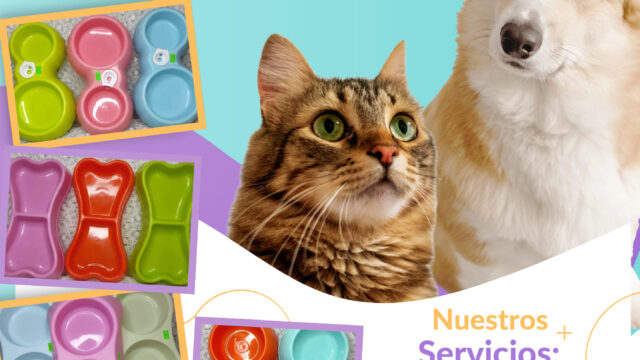 469527211_122127768074425808_8931673835801952398_n