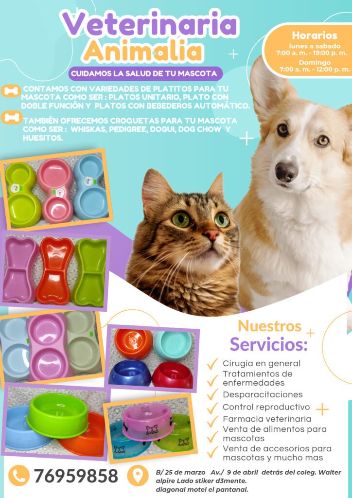 469527211_122127768074425808_8931673835801952398_n