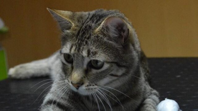 470071918_605302448834797_4323019774465729271_n