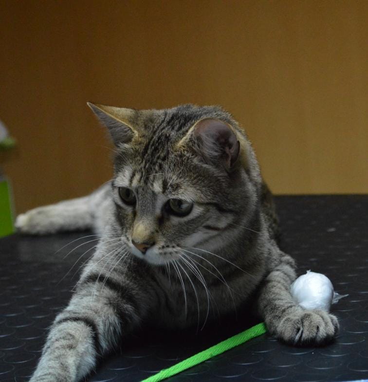 470071918_605302448834797_4323019774465729271_n