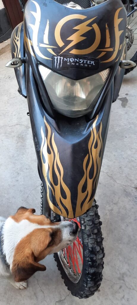 470081387_1002877925190537_2898611475134661038_n