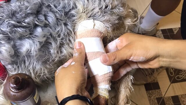 471160135_568596129395731_4010393961343046016_n