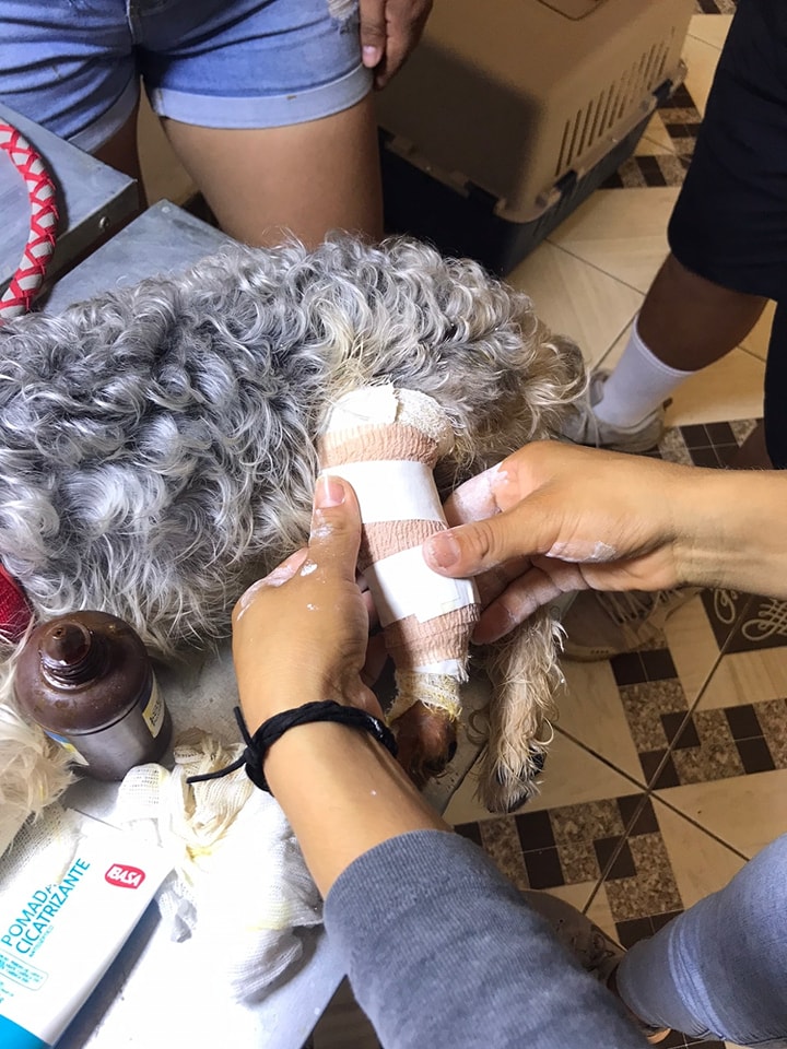 471160135_568596129395731_4010393961343046016_n