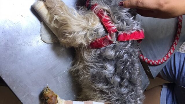 471286844_568596322729045_8837916684600177580_n