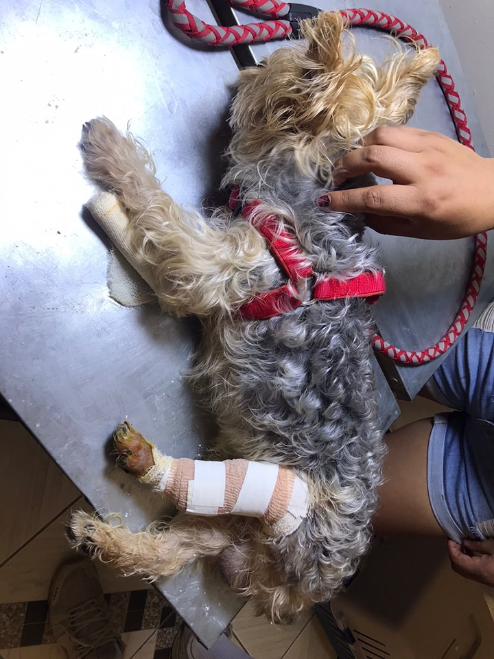 471286844_568596322729045_8837916684600177580_n