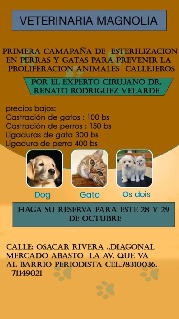 471328434_122259097226003138_4439281489229669719_n