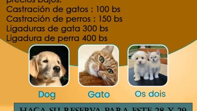 471328434_122259097226003138_4439281489229669719_n