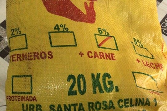 471817593_572155869039757_982520905637125537_n