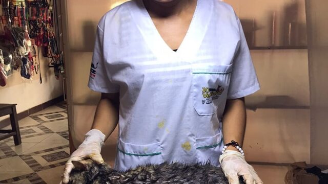 473092920_581166218138722_6751175367682061608_n