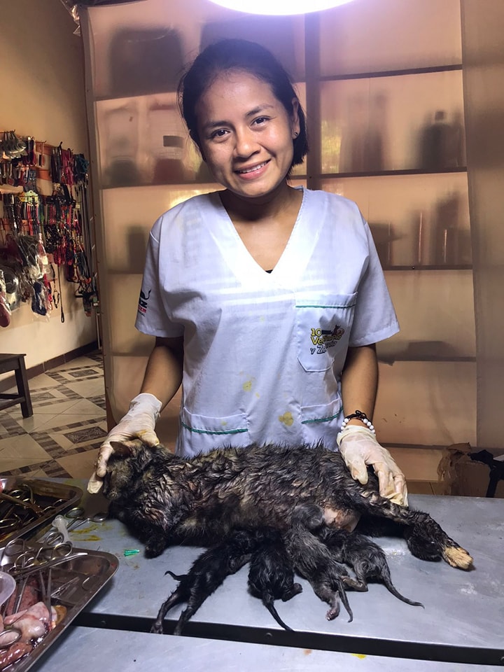 473092920_581166218138722_6751175367682061608_n