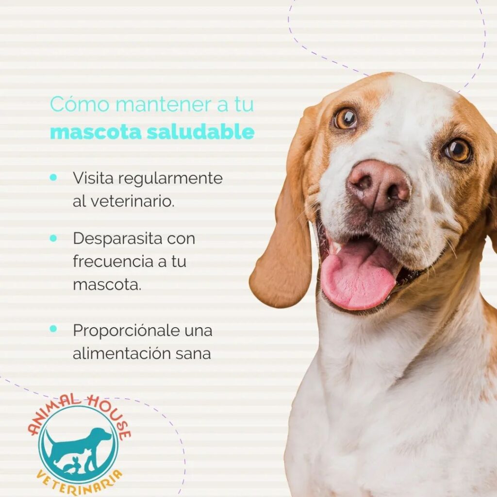 473317320_595059639944019_6946665960168718220_n