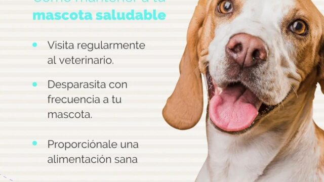 473317320_595059639944019_6946665960168718220_n