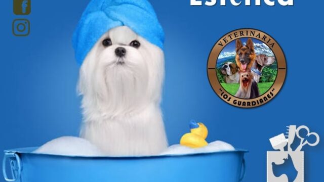 473574136_1998781763881192_4009782198205549826_n