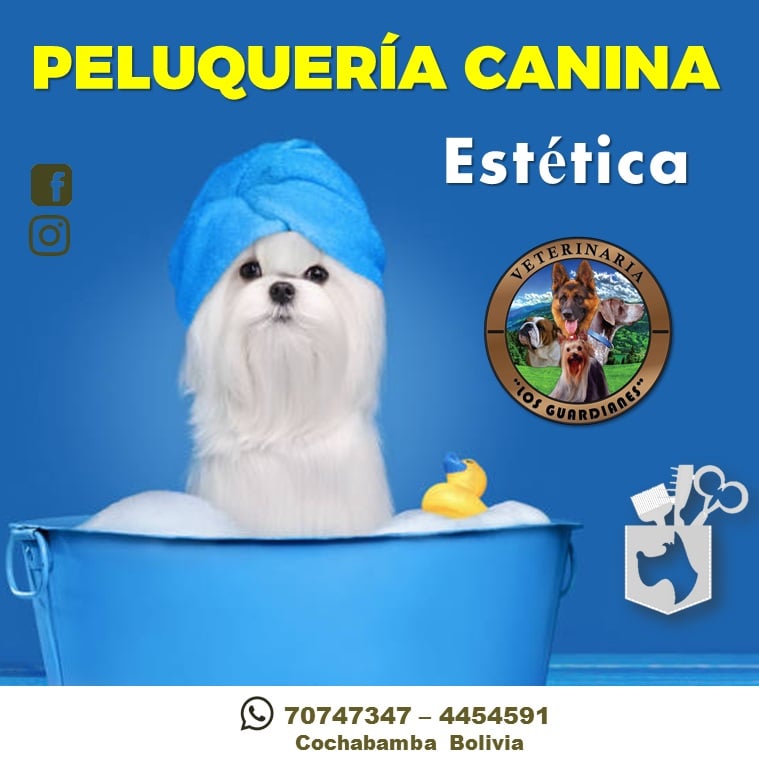 473574136_1998781763881192_4009782198205549826_n