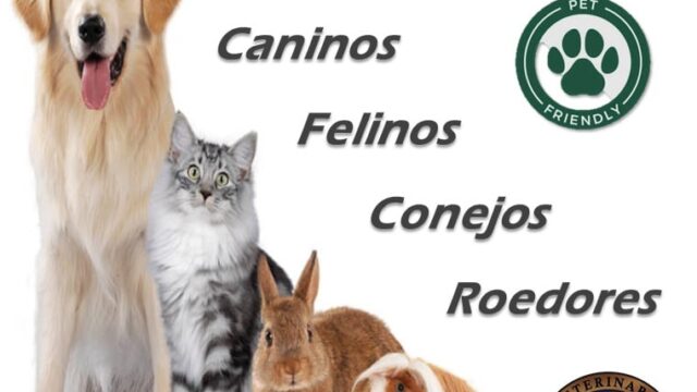 473662728_1998781830547852_4574256364890583875_n