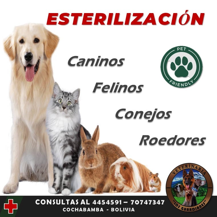 473662728_1998781830547852_4574256364890583875_n