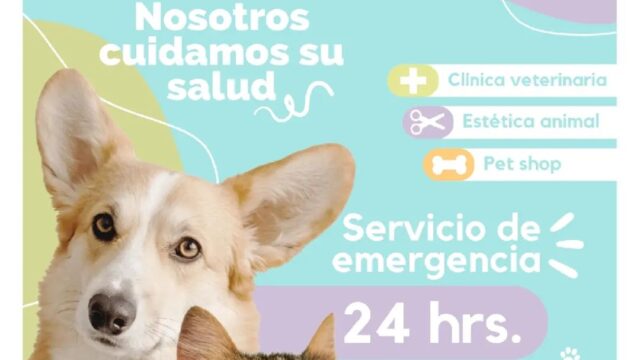 473685378_595061963277120_349300601819921069_n