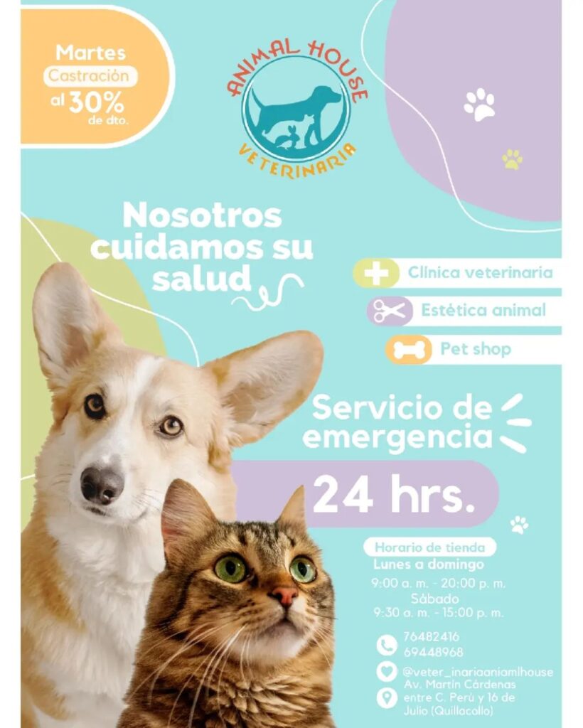 473685378_595061963277120_349300601819921069_n