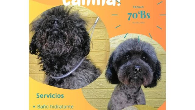 474001033_602556769194306_5673837609668503731_n