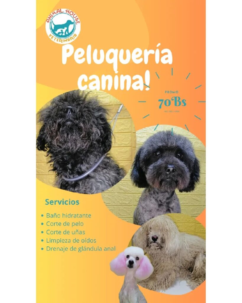 474001033_602556769194306_5673837609668503731_n