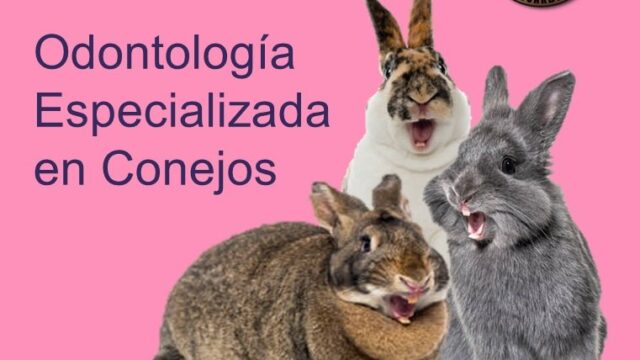 474035918_2001352796957422_6689255936586170117_n