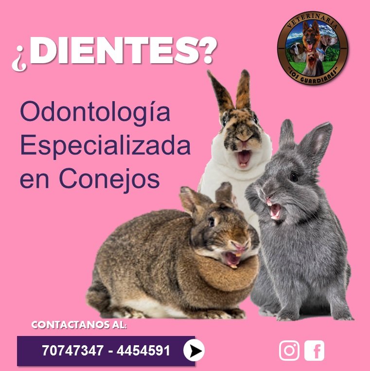 474035918_2001352796957422_6689255936586170117_n