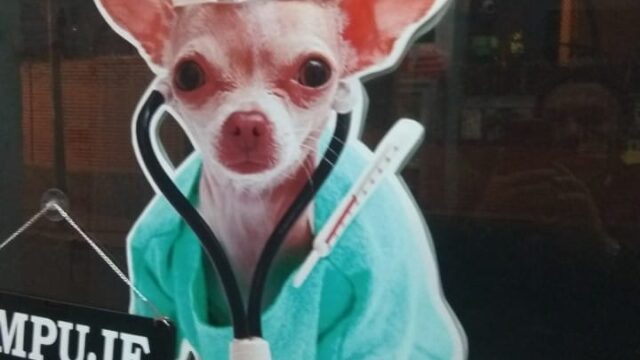 474557878_1278912099847910_4741234306224567088_n