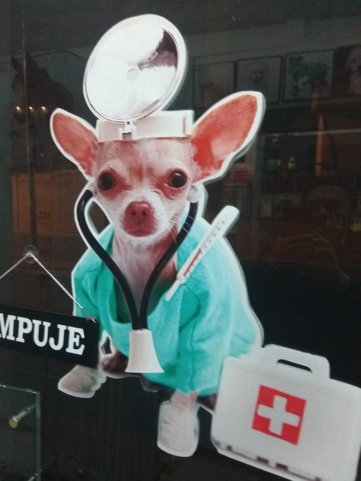 474557878_1278912099847910_4741234306224567088_n