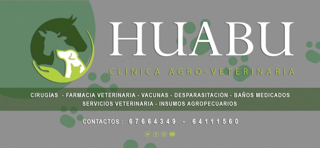 475979184_660670506622048_7353812385157308926_n