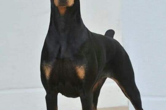 476083064_1031809952297276_7013887840780010183_n